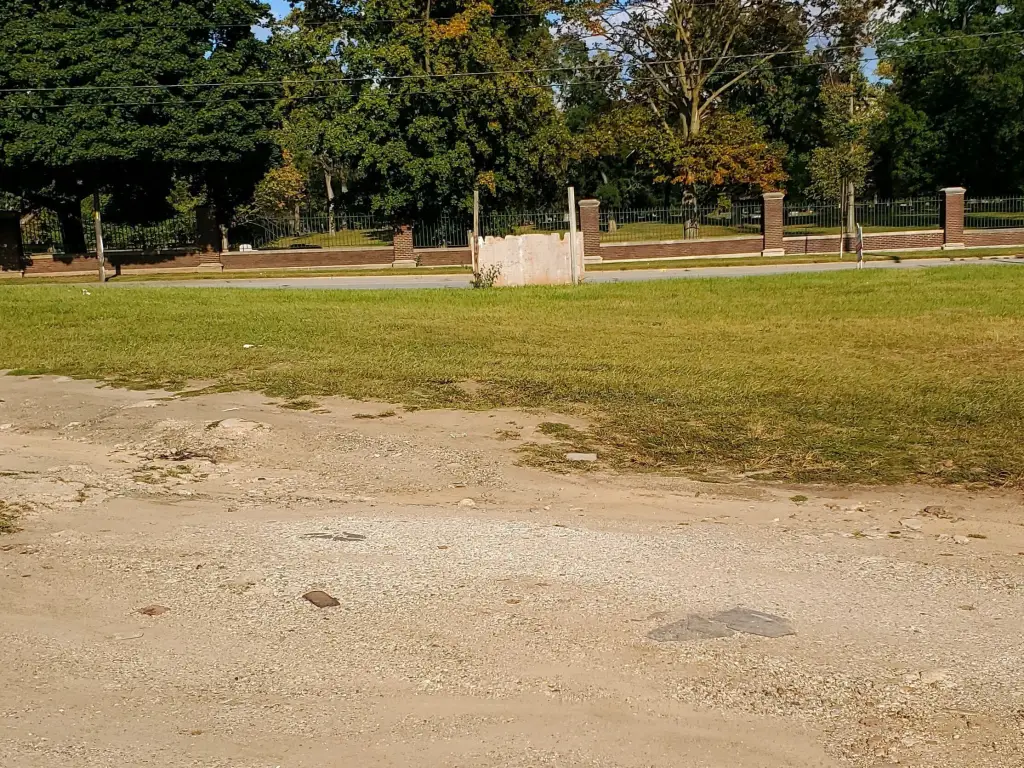 Picture 2