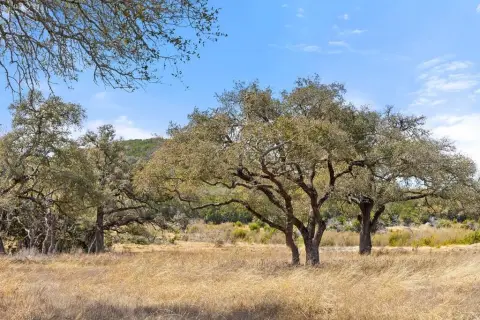 Ranch Land and City Lots