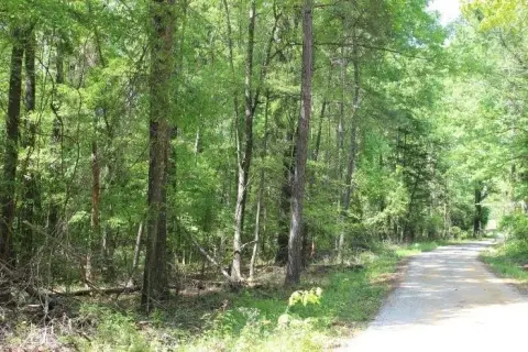 Estate Homesite with Hardwood Trees