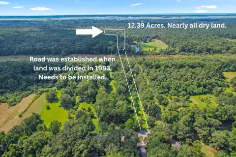 Johns Island Wooded Land Parcel
