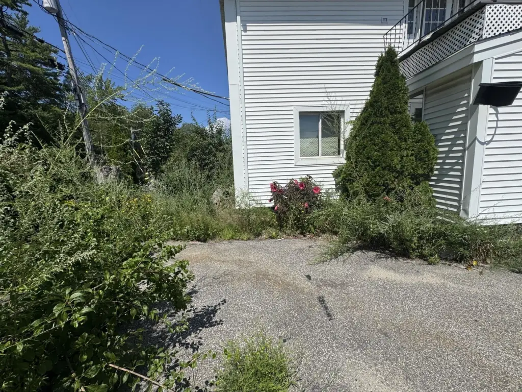 Picture 21