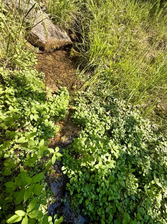 Picture 43