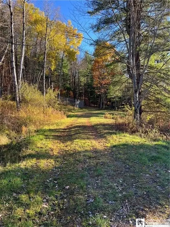 Picture 8