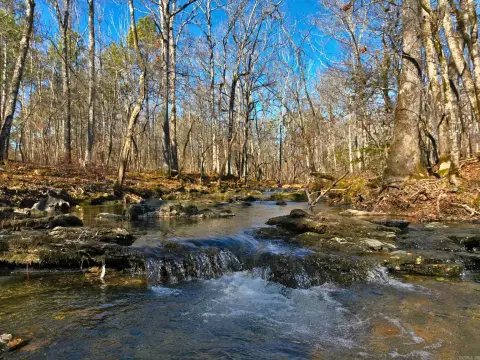 59 Acres in Jessieville, AR