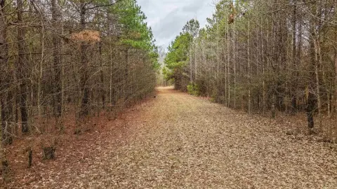 49 Acres Hunting Land, Pine Bluff