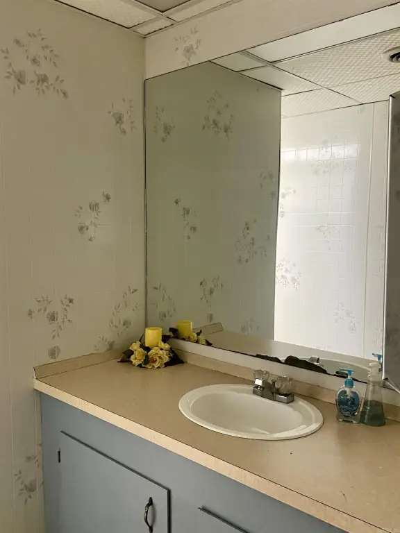 Picture 29