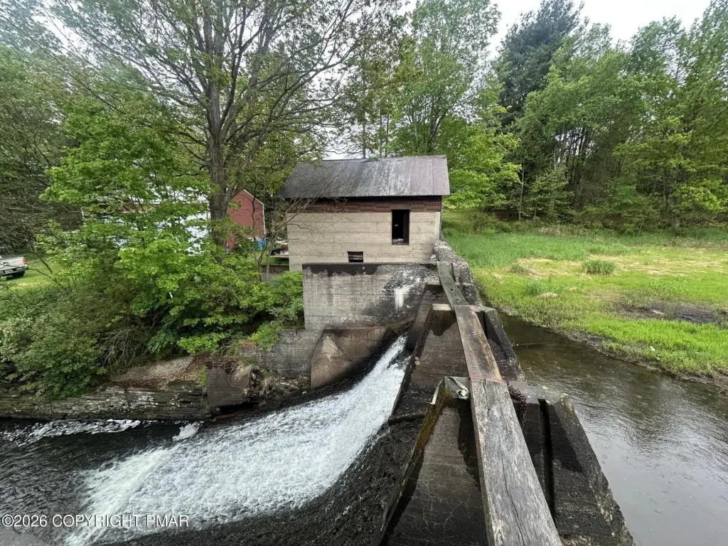 Picture 23