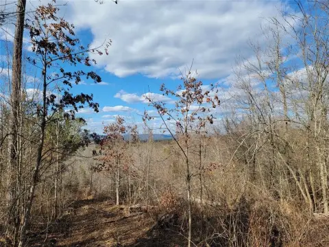 Unrestricted Land with Mountain Views