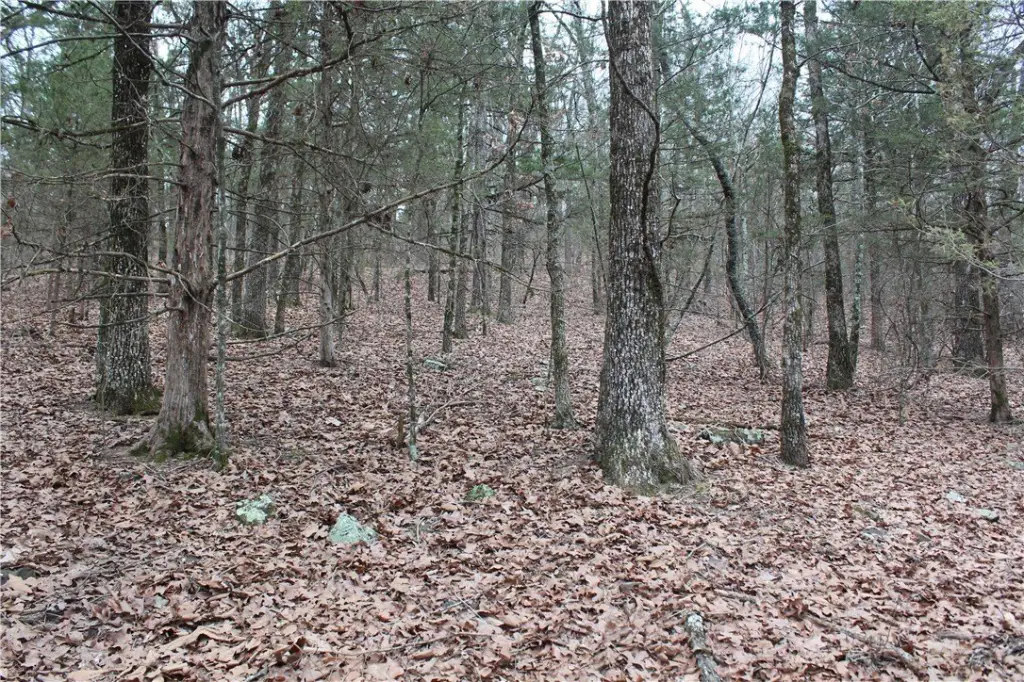 Picture 8