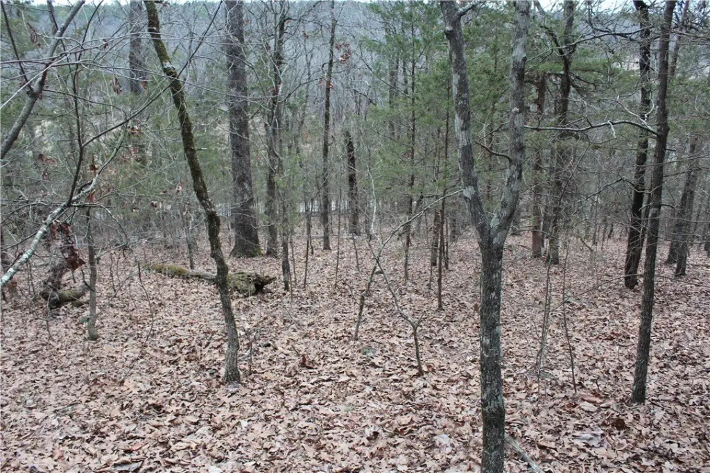 Picture 9