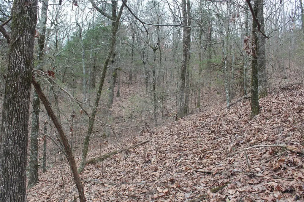 Picture 12