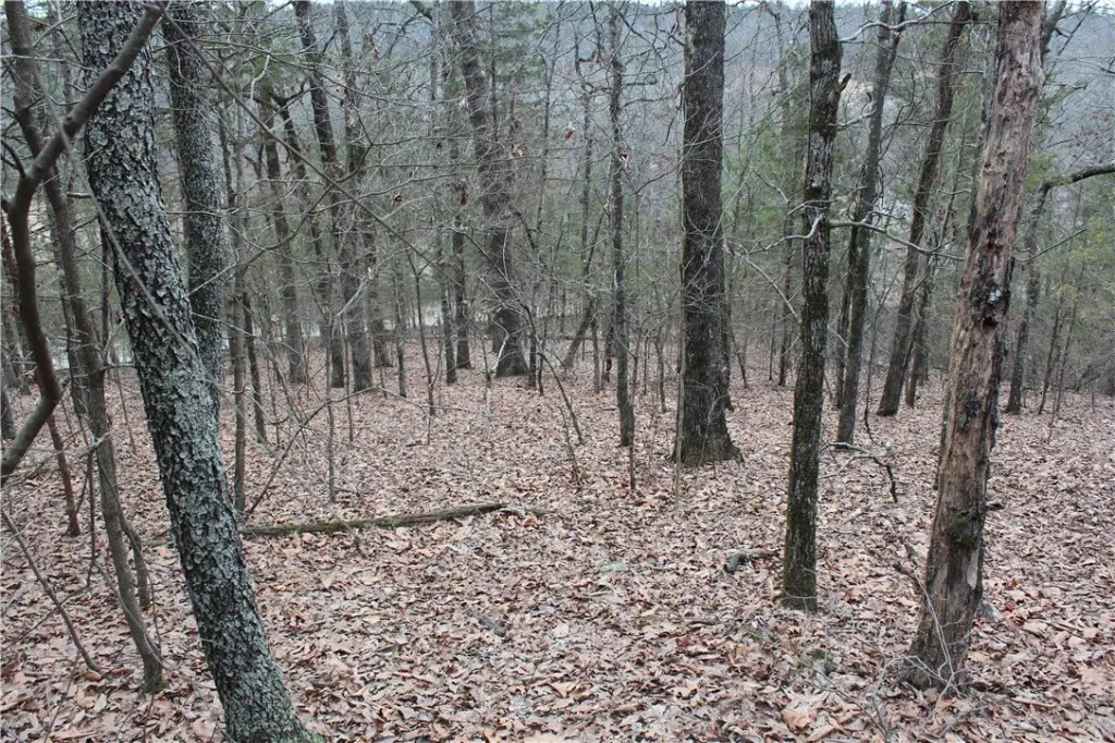 Picture 10