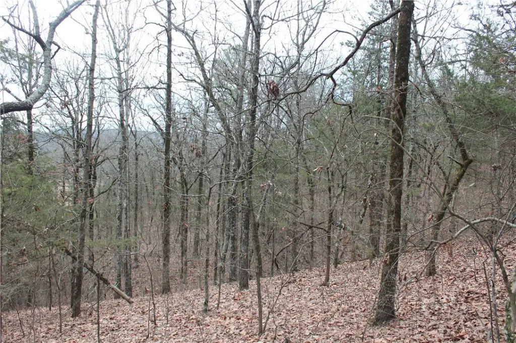 Picture 11