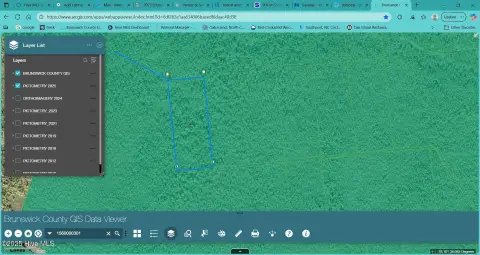 Boiling Spring Lakes Wooded Land