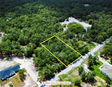 Spacious Homesite in Crystal River