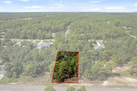 Citrus Springs Land Opportunity
