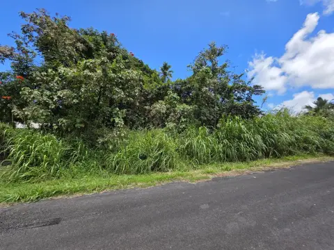 Vacant Lot in Pahoa, HI