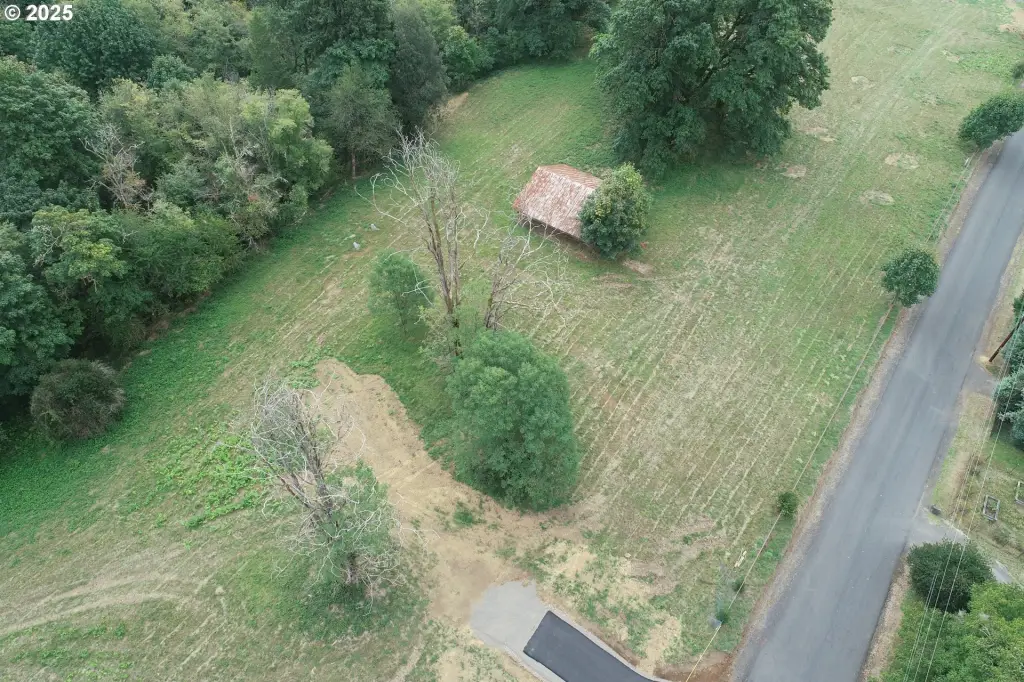 Picture 5