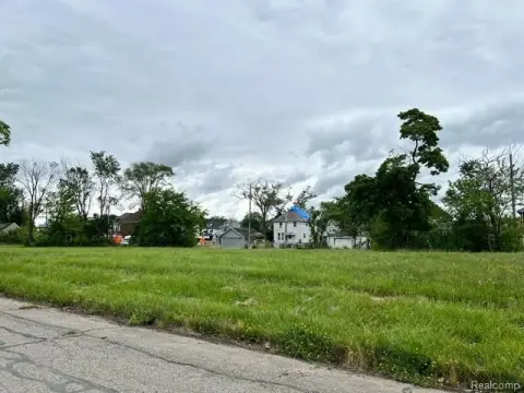 Detroit Land Opportunity: Eight Lots