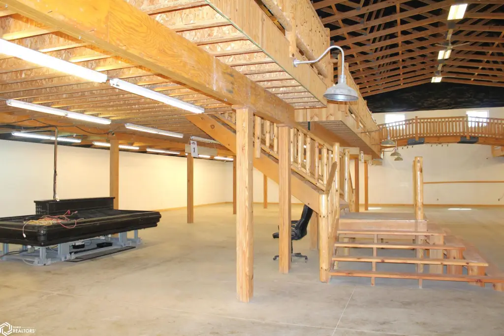 Picture 11