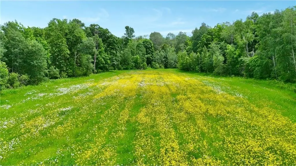 Picture 20