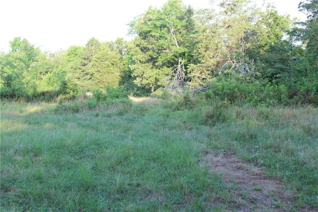 Picture 23