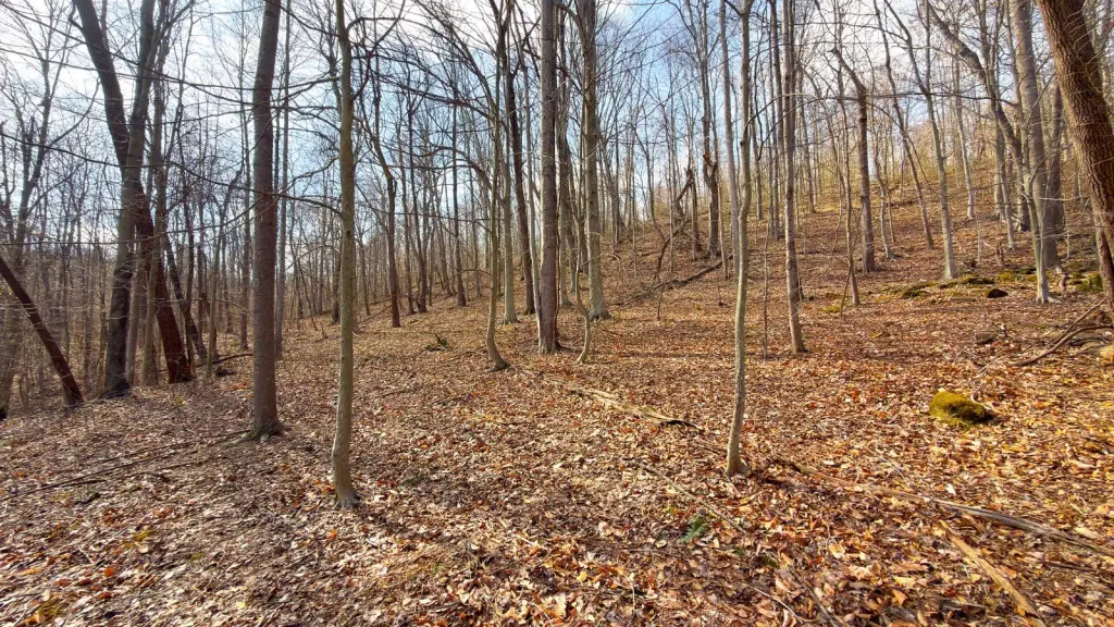 Picture 56
