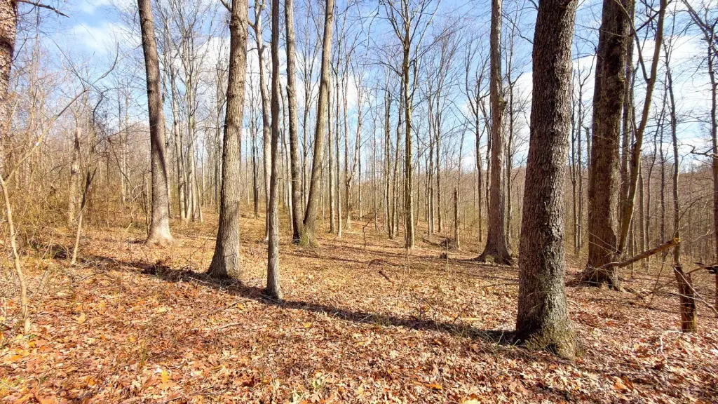 Picture 38
