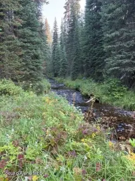 80-Acre Creekfront Recreation Land