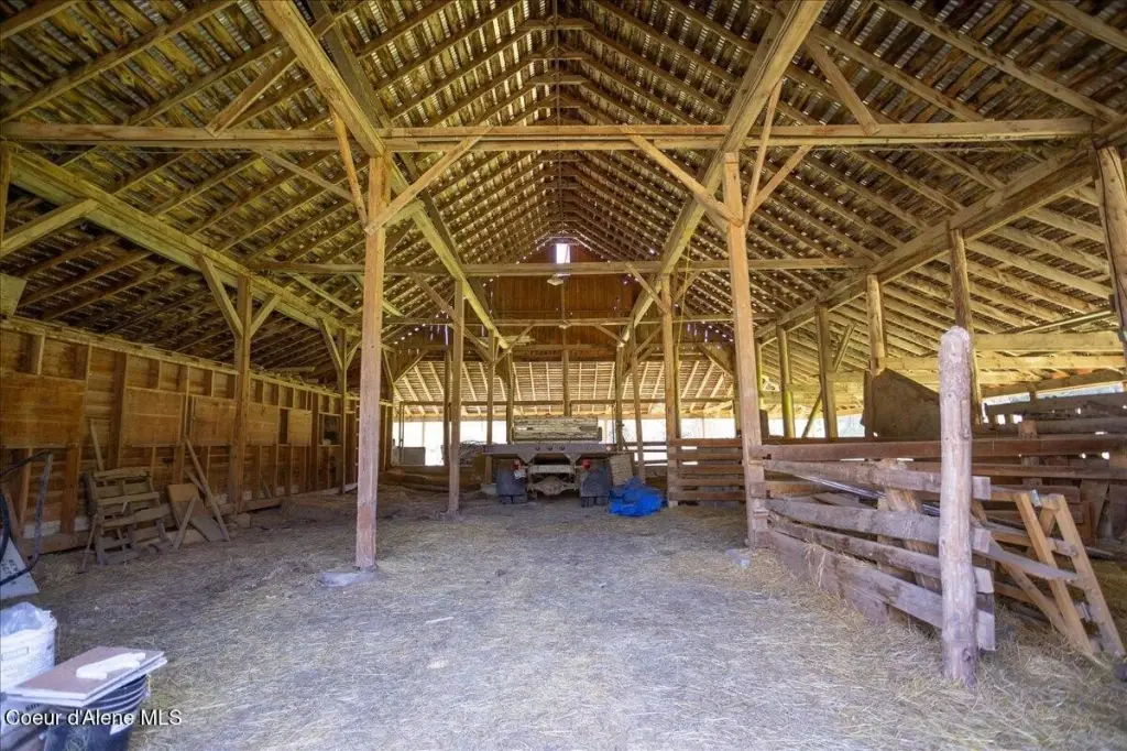 Picture 31