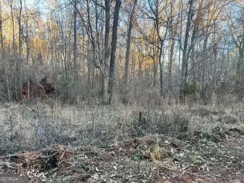 Monticello, GA Land Opportunity