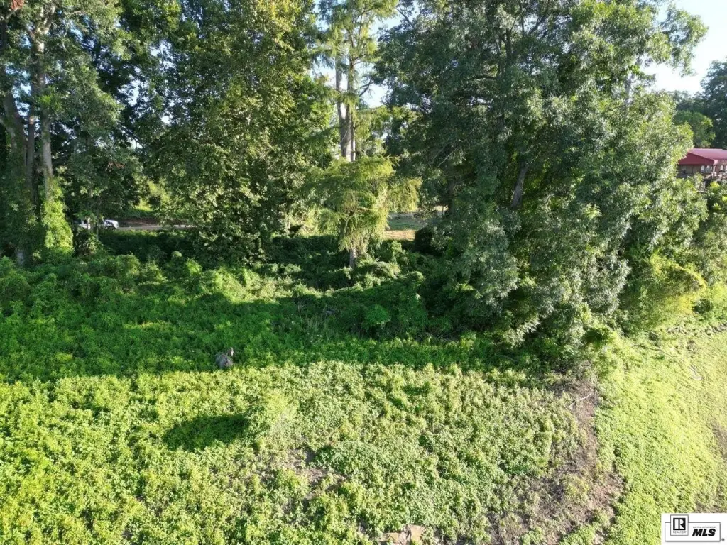 Picture 8