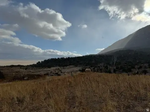 160 Acres Agricultural Land