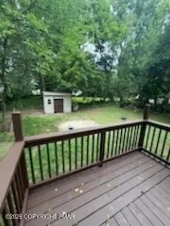 Picture 8