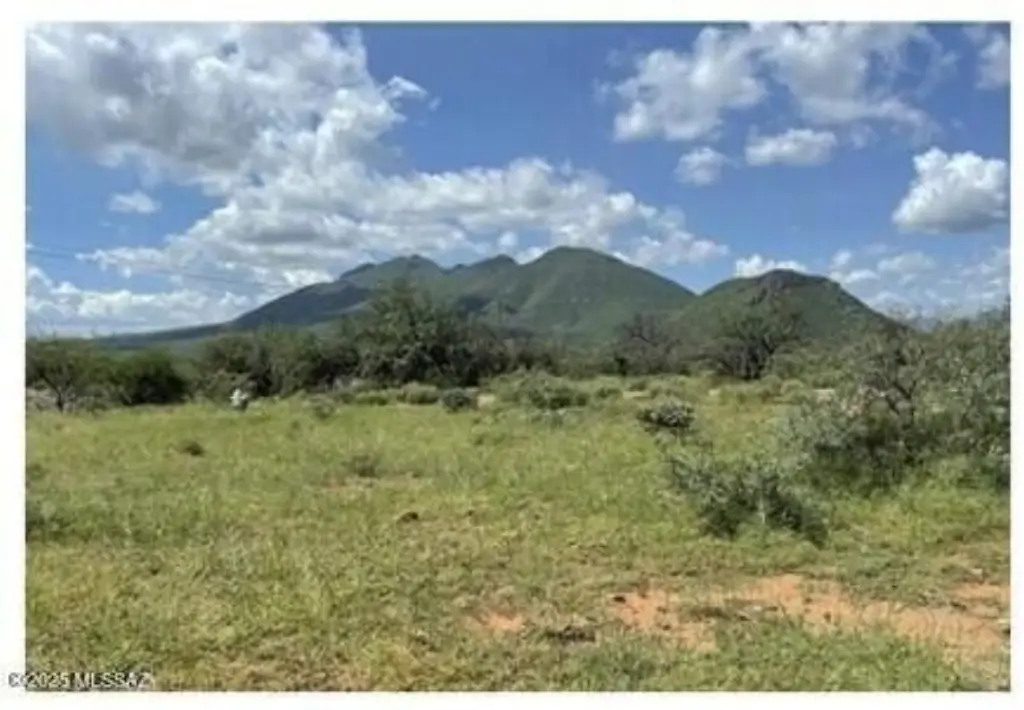 Picture 4