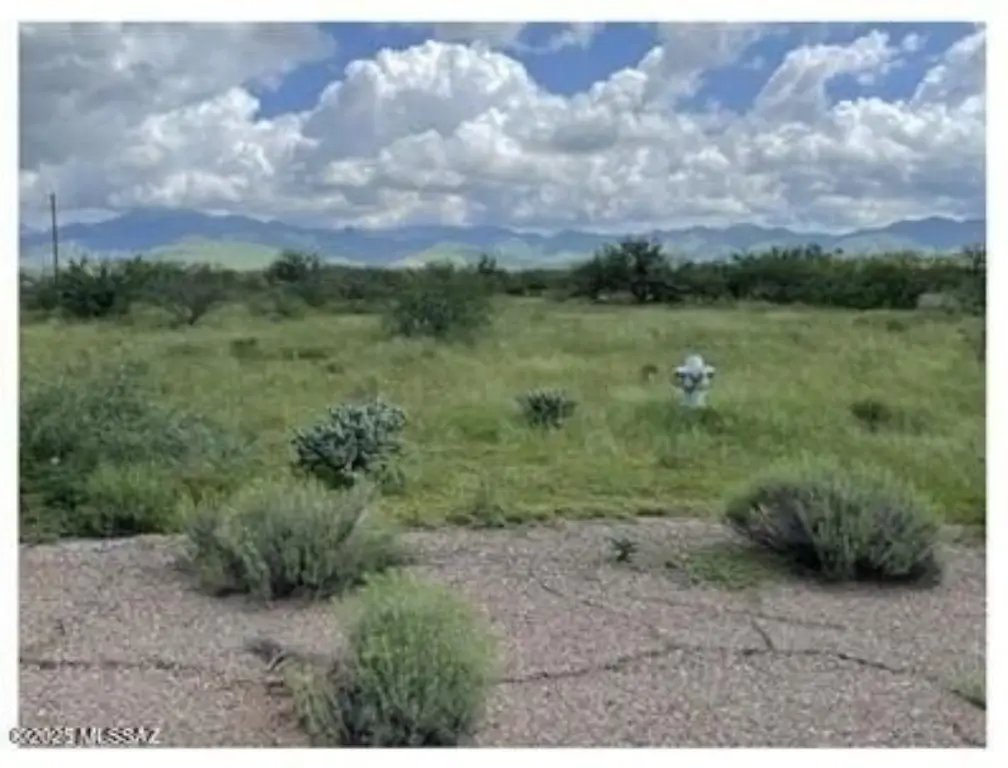 Picture 2