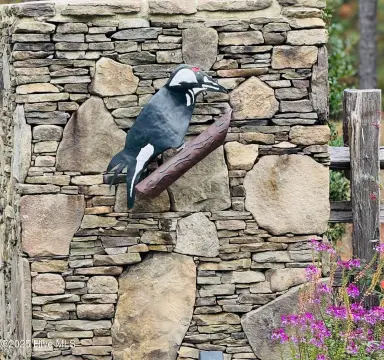 Pinehurst Golf Club Premier Lot