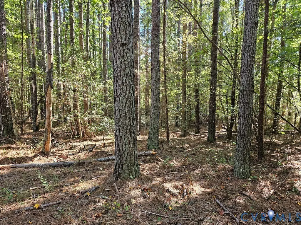 Picture 16