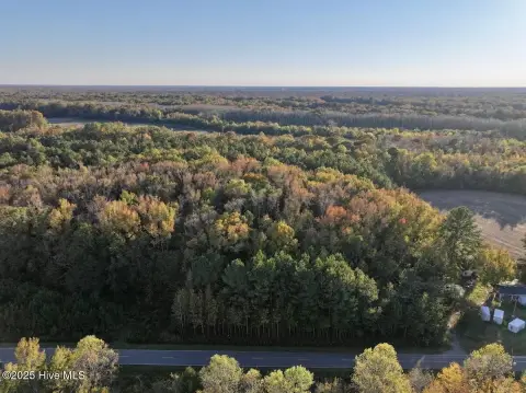 Bertie County Hunting and Timberland