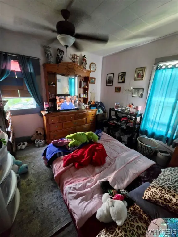 Picture 12