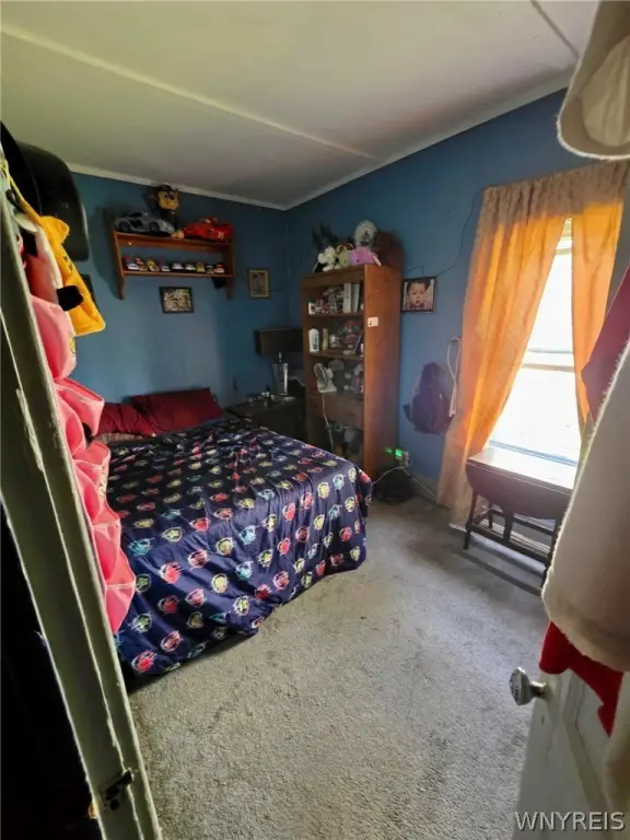 Picture 13