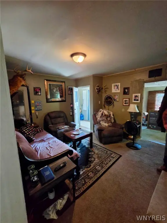 Picture 17