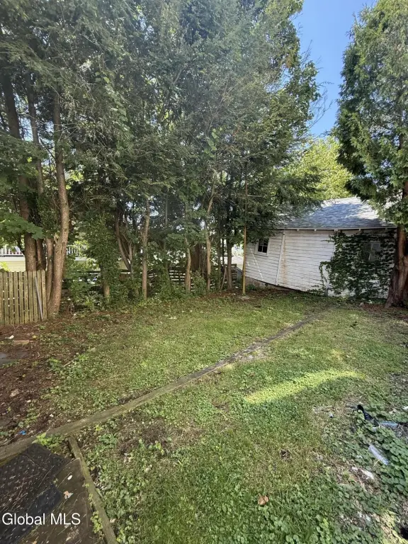 Picture 5