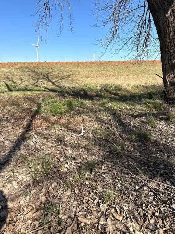 Picture 14