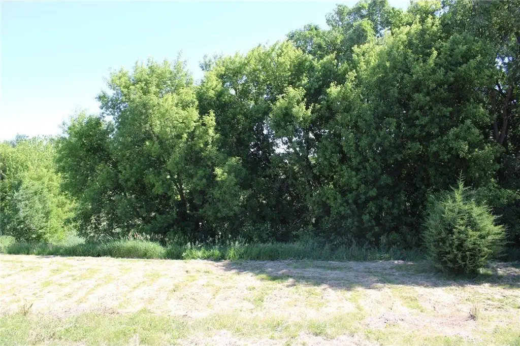 Picture 3