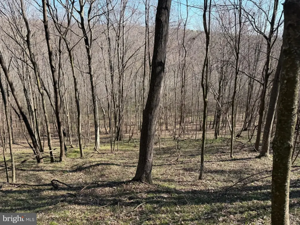Picture 46