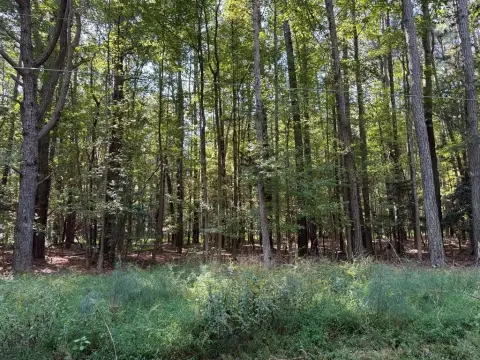 Residential Land Near Kilmarnock, VA