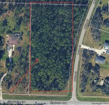 3.67-Acre Wooded Parcel in North Port