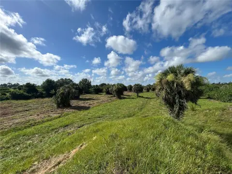 Punta Gorda Agricultural Land