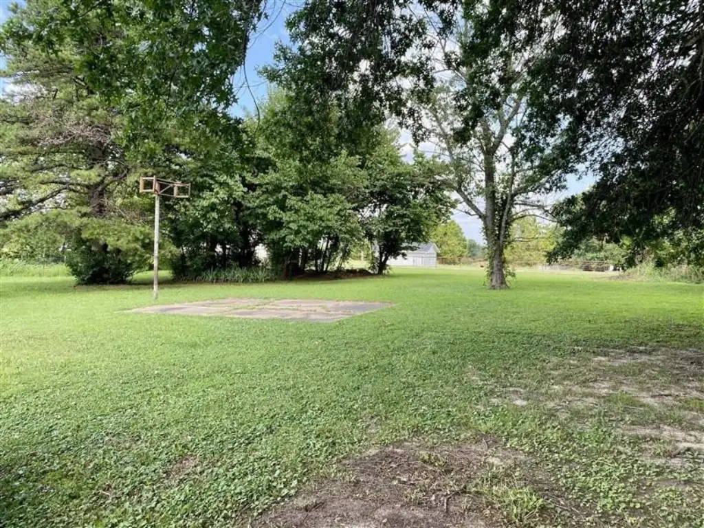 Picture 29
